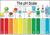 ph-scale
